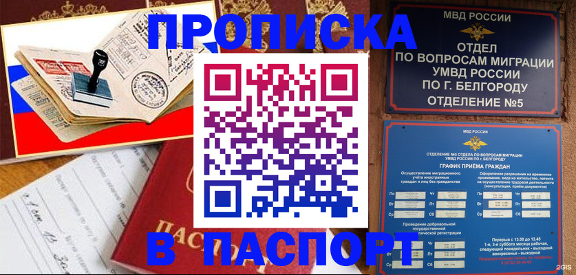 купить прописку в Мурманской области